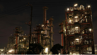 Aramco Volunteers Protect And Preserve Galveston Bay